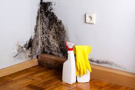 Best Mold Remediation for Healthcare Facilities  in USA